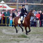 Kieleckie obchody św. Huberta - pogoń za lisem / Stanisław Blinstrub / Radio Kielce