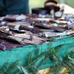 Kieleckie obchody św. Huberta - patrona myśliwych / Stanisław Blinstrub / Radio Kielce