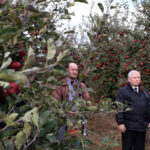 20.10.2014 Pawłów. Jarosław Kaczyński gościł w sadzie Waldemara Hamery / Stanisław Blinstrub / Radio Kielce