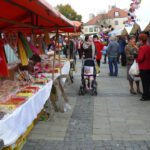 Uroczystości ku czci bł. Wincentego Kadłubka w Sandomierzu / Grażyna Szlęzak-Wójcik / Radio Kielce