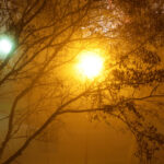 27.10.2014 Kielce. Mgła / Wojciech Habdas / Radio Kielce