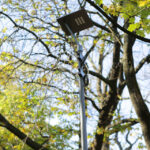 28.10.2014 Kielce. Remont skweru Żeromskiego. / Wojciech Habdas / Radio Kielce