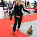 VIII Międzynarodowa Wystawa psów Rasowych w Targach Kielce / Kamil Król / Radio Kielce