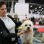 VIII Międzynarodowa Wystawa psów Rasowych w Targach Kielce / Kamil Król / Radio Kielce