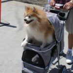 Wyprawa motocyklem po USA / Adam, Jasiek Grzegorzewski / Radio Kielce