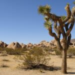 Wyprawa motocyklem po USA / Adam, Jasiek Grzegorzewski / Radio Kielce