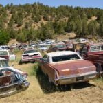 Wyprawa motocyklem po USA / Adam, Jasiek Grzegorzewski / Radio Kielce