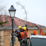 W Kielcach pojawiły się już świąteczne dekoracje / Kamil Król / Radio Kielce