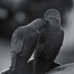 Wyróżnione prace w Ogólnopolskim Konkursie "Życie jest piękne" / Kieleckie Centrum Kultury