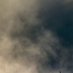 Wyróżnione prace w Ogólnopolskim Konkursie "Życie jest piękne" / Kieleckie Centrum Kultury