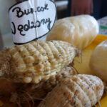 Przedświąteczny kiermasz w kieleckim hotelu Grand  (20 grudnia 2014) / Krzysztof Żołądek / Radio Kielce