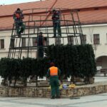 01.12.2014 Na rynku powstaje Choinka / Stanisław Blinstrub / Radio Kielce