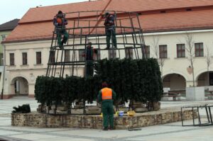 01.12.2014 Na rynku powstaje Choinka / Stanisław Blinstrub / Radio Kielce