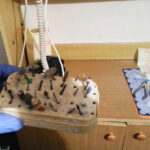 Funkcjonariusze Straży Granicznej z Kielc zatrzymali fałszywego dentystę z Ukrainy. / Służba Celna