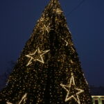 Na kieleckim Rynku rozbłysła choinka / Kamil Król / Radio Kielce