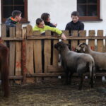 Żywa szopka w Chęcinach / Kamil Król / Radio Kielce