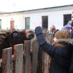 Żywa szopka w Chęcinach / Kamil Król / Radio Kielce