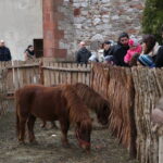 Żywa szopka w Chęcinach / Kamil Król / Radio Kielce