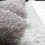 05.12.2014 Kielce przyprószone śniegiem / Stanisław Blinstrub / Radio Kielce