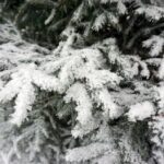 05.12.2014 Kielce przyprószone śniegiem / Stanisław Blinstrub / Radio Kielce