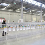 6.12.2014 Kielce. Świętokrzyska Wystawa Gołębi Pocztowych i Rasowych oraz Drobiu Ozdobnego / Wojciech Habdas / Radio Kielce