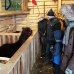 26.12.2014 Szopka na Świętym Krzyżu / Robert Felczak / Radio Kielce