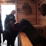 26.12.2014 Szopka na Świętym Krzyżu / Robert Felczak / Radio Kielce