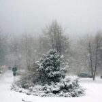 26.12.2014 Zima na Świętym Krzyżu / Robert Felczak / Radio Kielce