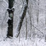 26.12.2014 Zima na Świętym Krzyżu / Robert Felczak / Radio Kielce