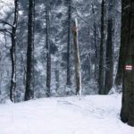 26.12.2014 Zima na Świętym Krzyżu / Robert Felczak / Radio Kielce