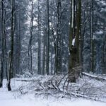 26.12.2014 Zima na Świętym Krzyżu / Robert Felczak / Radio Kielce