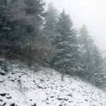 26.12.2014 Zima na Świętym Krzyżu / Robert Felczak / Radio Kielce