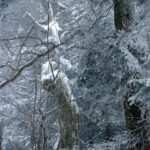 26.12.2014 Zima na Świętym Krzyżu / Robert Felczak / Radio Kielce