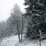 26.12.2014 Zima na Świętym Krzyżu / Robert Felczak / Radio Kielce