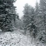 26.12.2014 Zima na Świętym Krzyżu / Robert Felczak / Radio Kielce