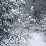 26.12.2014 Zima na Świętym Krzyżu / Robert Felczak / Radio Kielce