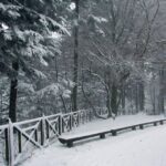 26.12.2014 Zima na Świętym Krzyżu / Robert Felczak / Radio Kielce