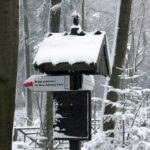 26.12.2014 Zima na Świętym Krzyżu / Robert Felczak / Radio Kielce