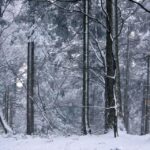 26.12.2014 Zima na Świętym Krzyżu / Robert Felczak / Radio Kielce