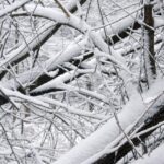 26.12.2014 Zima na Świętym Krzyżu / Robert Felczak / Radio Kielce