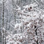 26.12.2014 Zima na Świętym Krzyżu / Robert Felczak / Radio Kielce