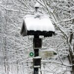 26.12.2014 Zima na Świętym Krzyżu / Robert Felczak / Radio Kielce