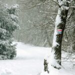 26.12.2014 Zima na Świętym Krzyżu / Robert Felczak / Radio Kielce