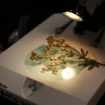 Dzień Dobry Dzieci (18 stycznia 2014) / Piotr Michalski / Radio Kielce