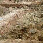 Podczas remontu posadzki w bazylice na Świętym Krzyżu archeologowie odkryli ślady trzech świątyń / Krzysztof Żołądek / Radio Kielce