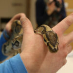 Noc Biologów w UJK / Kamil Król / Radio Kielce