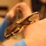 Noc Biologów w UJK / Kamil Król / Radio Kielce