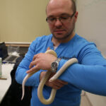 Noc Biologów w UJK / Kamil Król / Radio Kielce