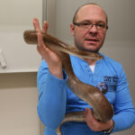 Noc Biologów w UJK / Kamil Król / Radio Kielce