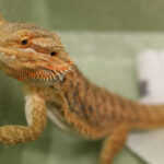 Noc Biologów w UJK / Kamil Król / Radio Kielce